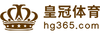Logo 雷火